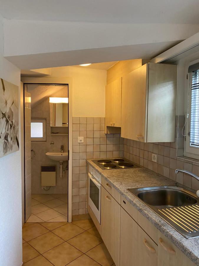 Casa Sibylle Studio - Piccolo Paradiso Minusio Kültér fotó