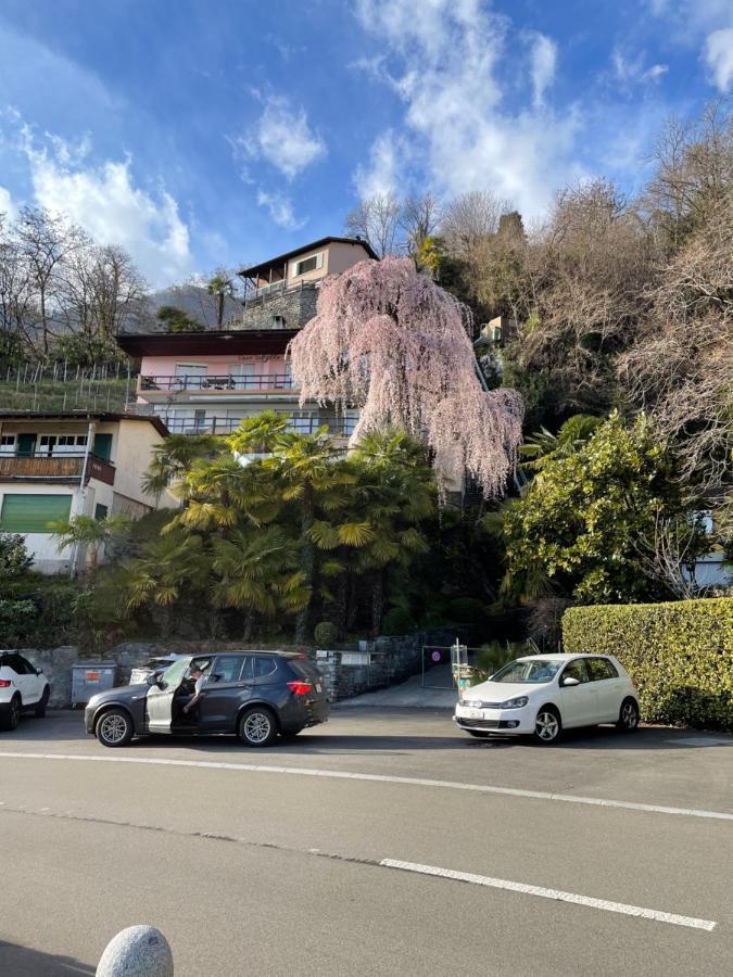 Casa Sibylle Studio - Piccolo Paradiso Minusio Kültér fotó